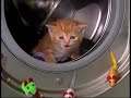 Laverie De Famille S2 E17 Chat Marche Pas
