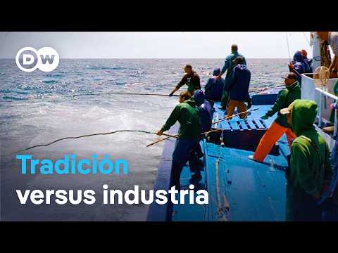 ¿Asfixiados por la UE? Los últimos pescadores con caña de las Azores | DW Documental