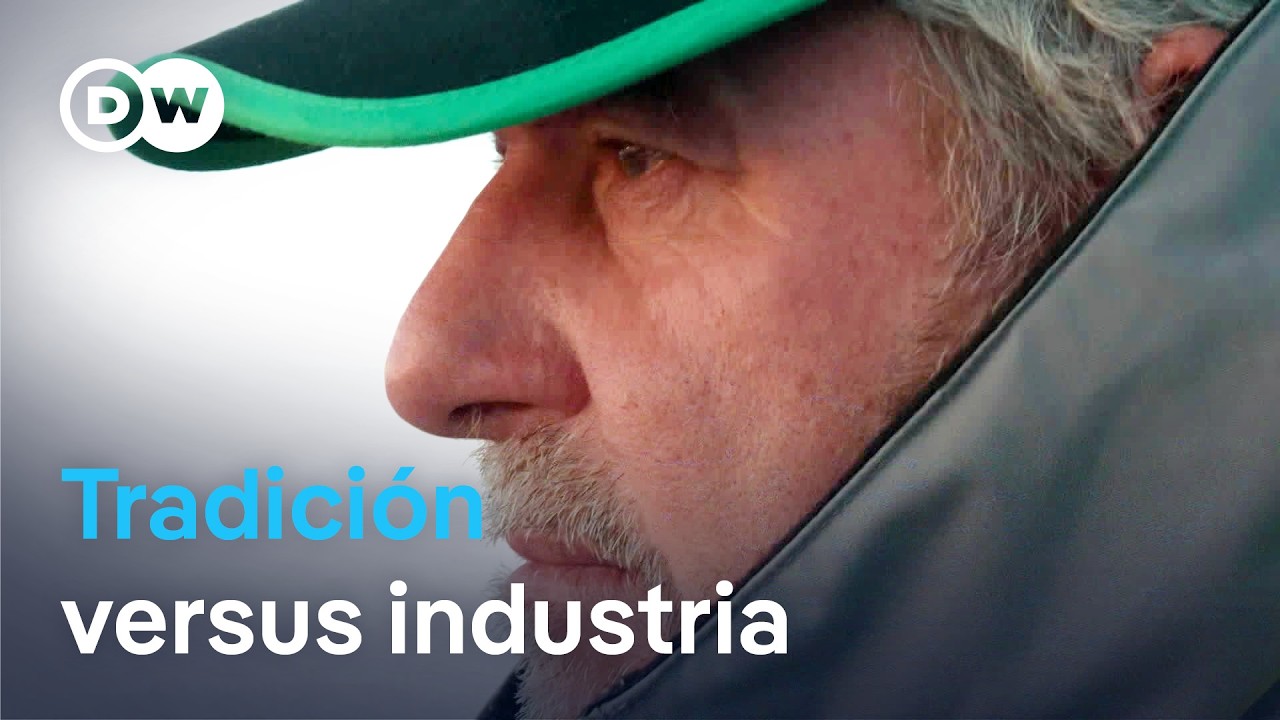 ¿Asfixiados por la UE? Los últimos pescadores con caña de las Azores | DW Documental