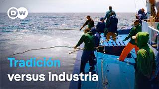 Thumbnail del capítulo