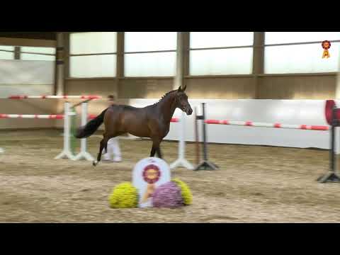 KN 58: Don Romanov x San Amour