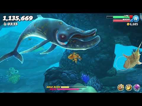 M Sharks Live Contest (Most Gold Rushes in Pacific Island) - Hungry Shark World