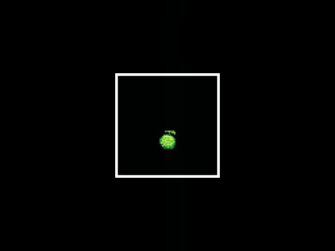 Degraded Melon
