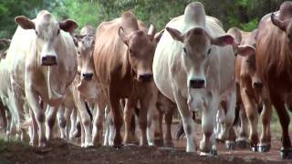 Africa: Lewa Childrens Home - Part II