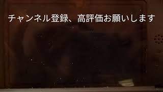 アラタがやっていくレート7