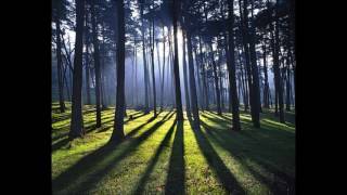 Looking T&#39;Ward Heaven - Doc Watson &amp; Clarence Ashley