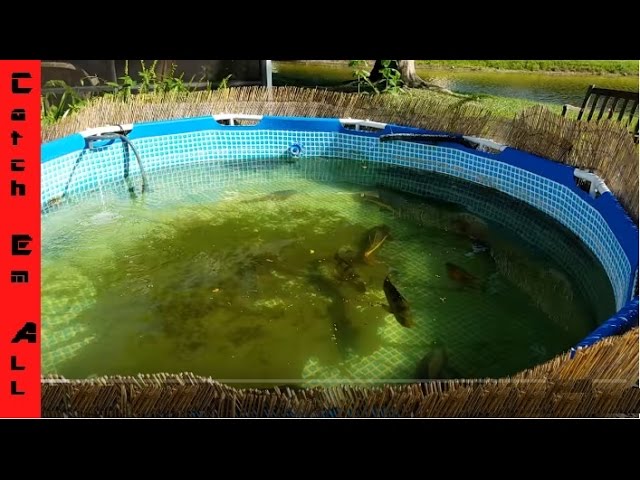 HOW TO BUILD A POND using a POOL in your backyard! Catch_Em_All_Fishing General DIY Pond OverView