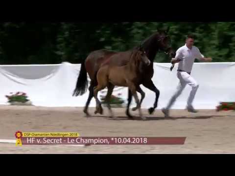 KN 59: HF von Secret / Le Champion