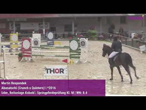 Qualifikation zum Bundeschampionat der 5-jährigen Springpferde in Uder, Reitanlage Kobold 2021