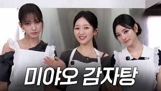 아기맹수와 아기고양이 미야오