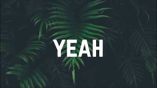 ZAYN - Sour Diesel (Lyrics)