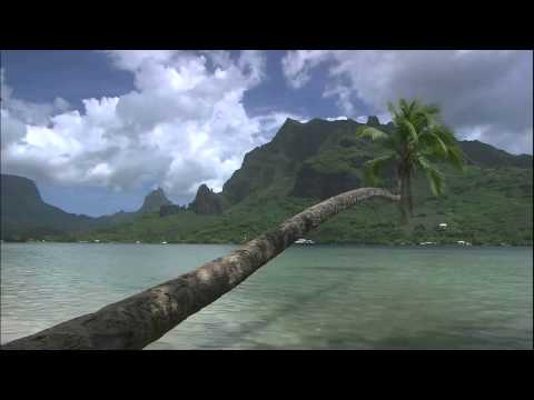 Dominik Dudek pres Astral Forteness - Enchanted In Time (TrancEye Remix)