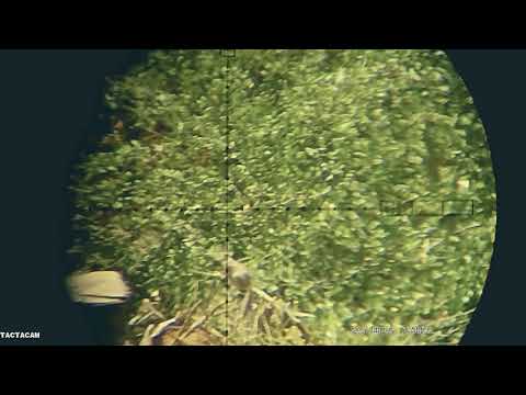 Branch Spine Shot at 84 Pala 6 2 21