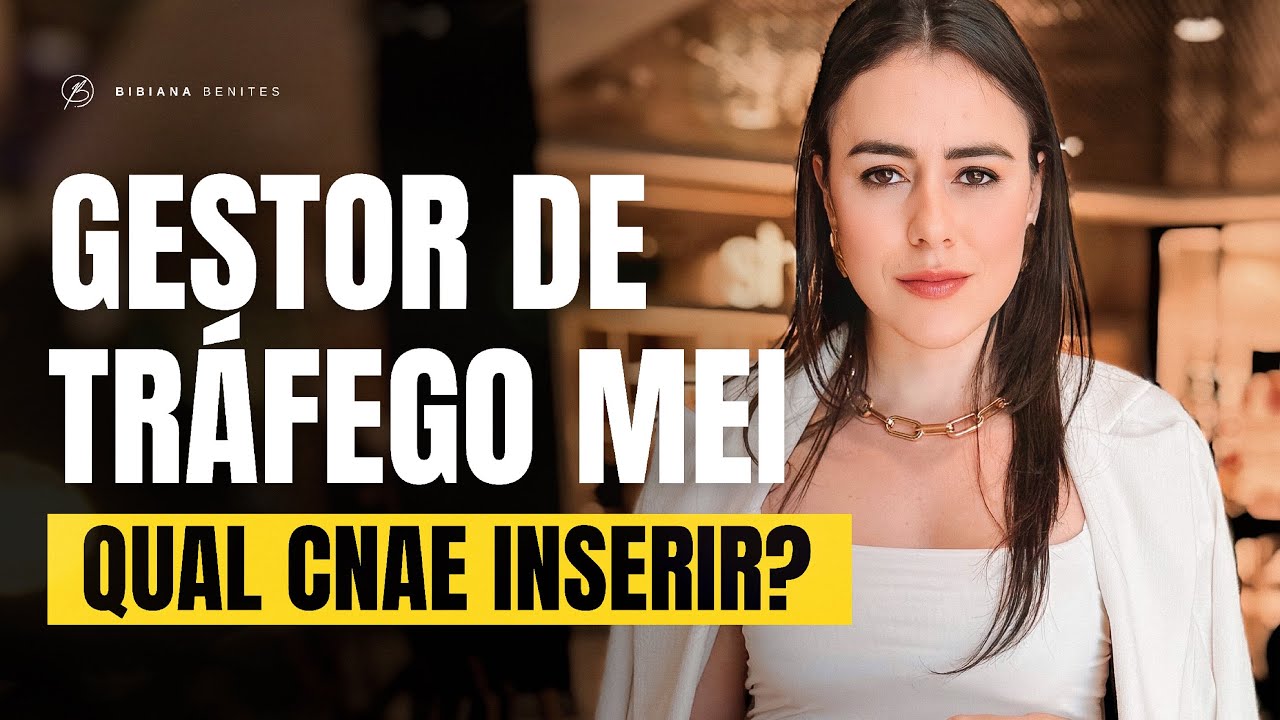GESTOR DE TRÁFEGO MEI, QUAL CNAE INSERIR?