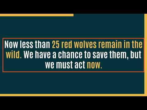 Red Wolf Wildlife Crossing Fund