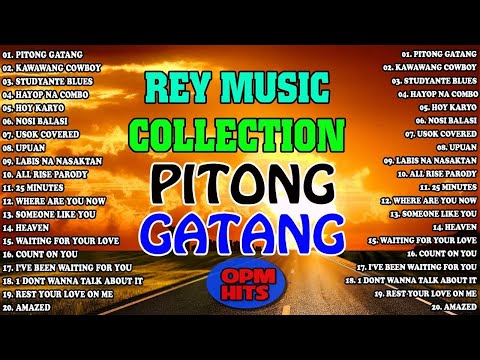 PITONG GATANG 🔥🔥THE BEST OPM HITS, SLOW ROCK LOVE SONGS NONSTOP BY REY MUSIC COLLECTION