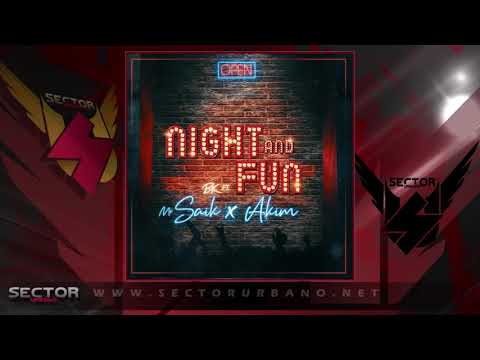 Mr Saik ft Akim - Night And Fun