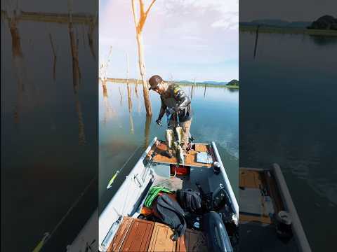 Peixe demais pra um dia só! 🎣🔥 | Expedição no Rio Tocantins