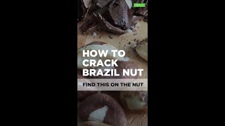 How to Crack Brazil Nuts