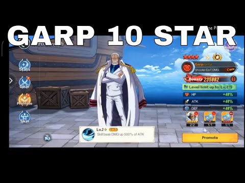 GARP 10 STAR | New World: Vigour Voyage  | One Piece