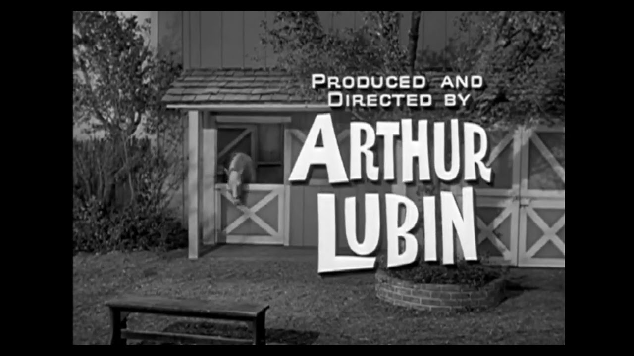 Mr Ed (1962 - 1966) Classic TV intro.