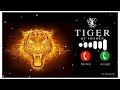 TIGER RINGTONE Stan Ringtone Viral Ringtone Trending Ringtone