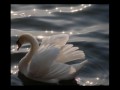 LARA FABIAN - PERDERE L'AMORE 