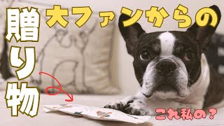 皆さんに助けられて本当に感謝しております😭
