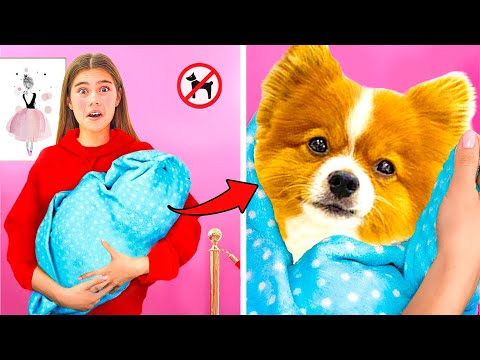 Nastya intenta entrar al supermercado con su perro | Historia divertida para niños