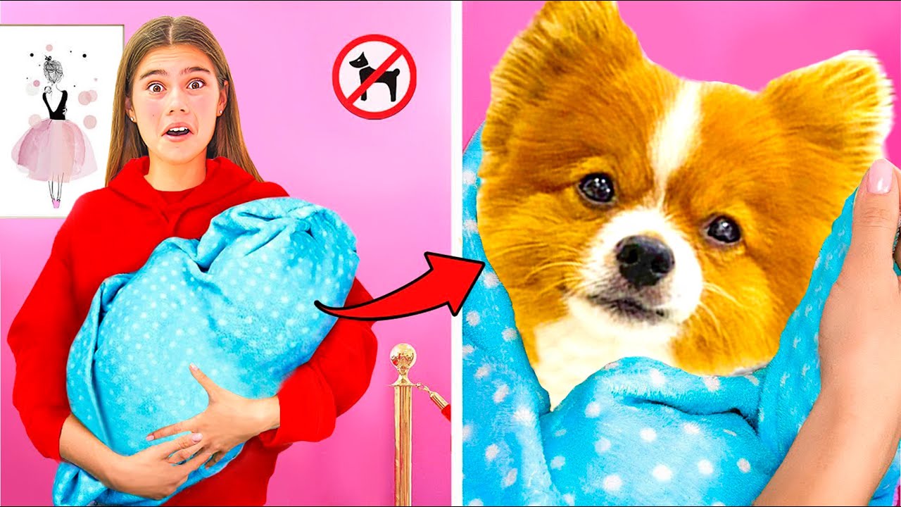 Stacy quiere llevar al perro a la tienda. Stacy y el perro