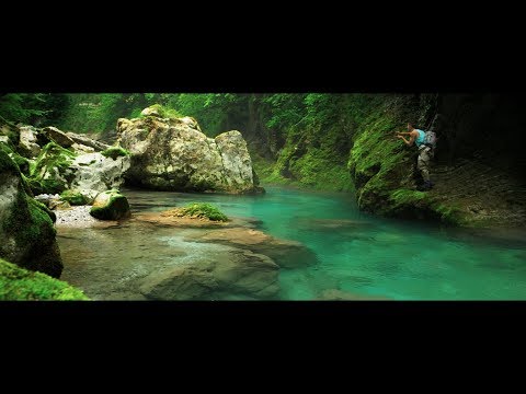 SocaFly - Perseverance