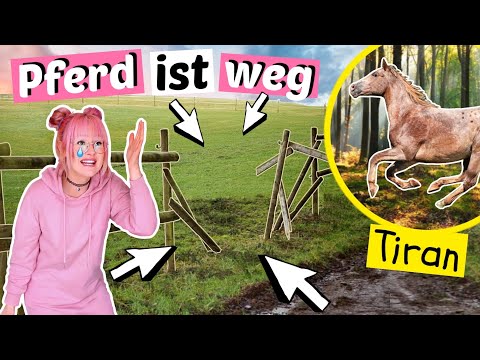 Mein Pferd ist weg 😢 Tiran ist ausgebrochen | ViktoriaSarina