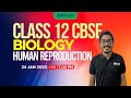 CLASS 12  CBSE Biology - Human Reproduction | Xylem CBSE 11 & 12