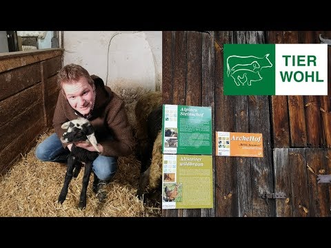 Stoanerhof: Sebastian Eder