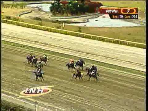 Resumen Domingo, 16 de Marzo de 2014 - La Rinconada