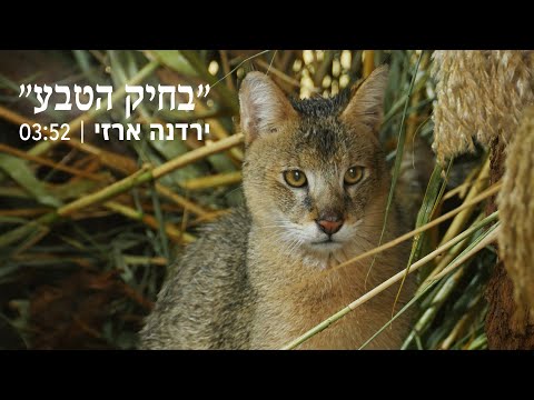 ירדנה ארזי - בחיק הטבע