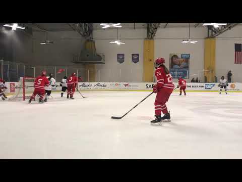 Hitting the ice: Playing girls ice hockey in the Bay Area