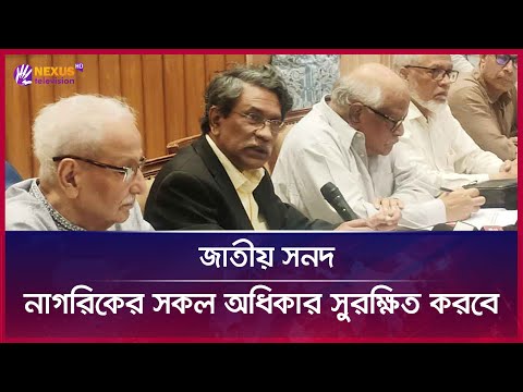 জাতীয় সনদ নাগরিকের সকল অধিকার সুরক্ষিত করবে | আলী রীয়াজ | Nexus News Plus