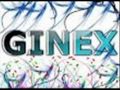 Ginex- Zeig deine Flagge 