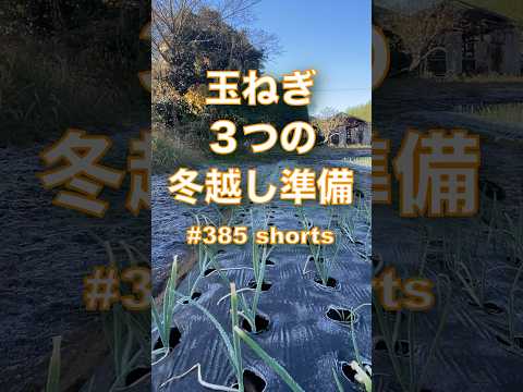 2月の屋外播種：この冬は何を植えますか？苗を霜から守るにはどうすればよいですか？  庭園