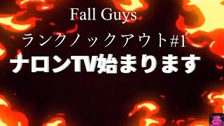 FallGuys  #1