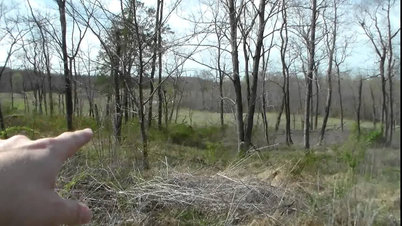 Finding the Perfect Hunting Lease: A Tour of Harrison County, Indiana
