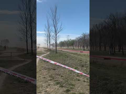 Histórica pasada del Rally argentino 2026 en Freyre, Córdoba #rallycar #rallyargentina