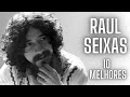 RAUL SEIXAS TOP 10 MELHORES MÚSICAS