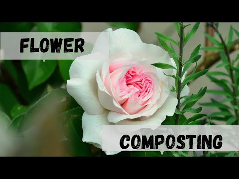 How to do Flower Compost in 1 Week| 0 Cost ,No smell and No Maggots | Light Weight Terrace Garden