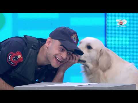 Në Shtëpinë Tonë - Portokalli, 31 Dhjetor 2021 – 2 Policat (Qeni i zgjuar i policise )