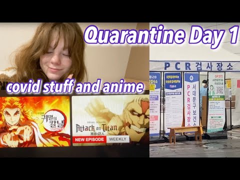South Korea Quarantine Day 1 (vlog 11)