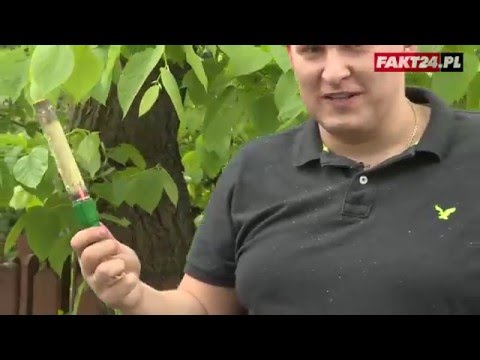 Sprawdziliśmy, czy race są bezpieczne. Wyniki są szokujące!