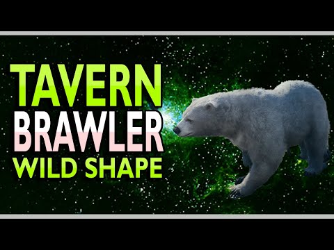 [BG3] What Happens If You Mix Tavern Brawler and Wild Shape!