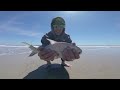 Surf Fishing for some tasty Pompano Fernandina Beach FL.